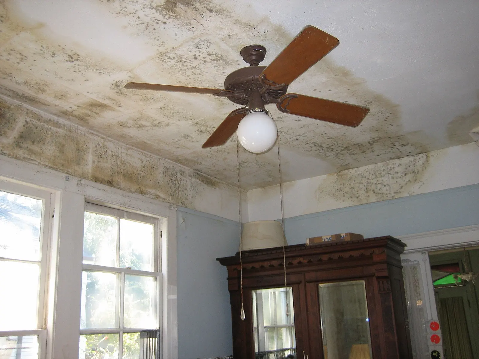Mold across a ceiling around a ceiling fan. Shown on the Leak mold page for Sarasota, FL.
